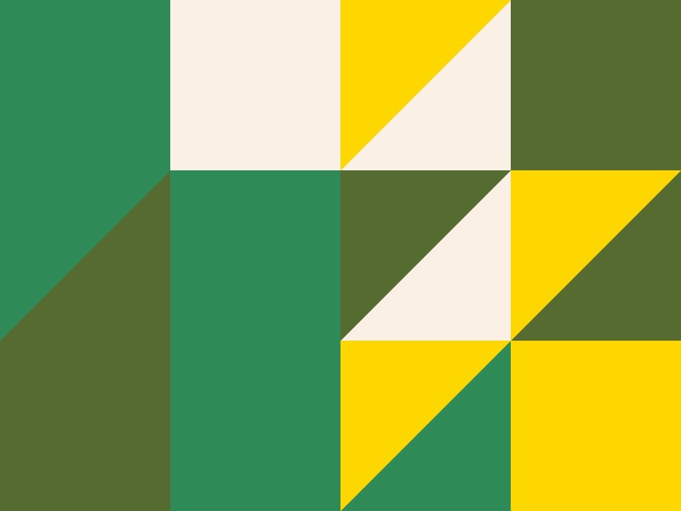 Pinwheel Picnic Quilt