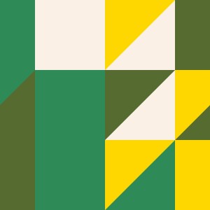 Pinwheel Picnic Quilt